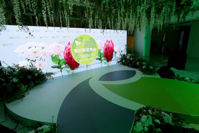高圆圆投的花点时间完成B轮融资 领鲜布局鲜花电商千亿市场 | Chuang Express