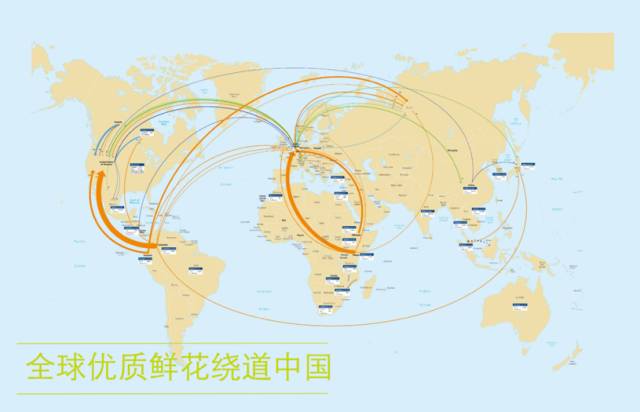 高圆圆投的花点时间完成B轮融资 领鲜布局鲜花电商千亿市场 | Chuang Express